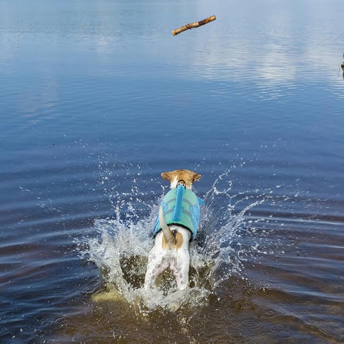 Queenmore Shark Dog Life Jacket