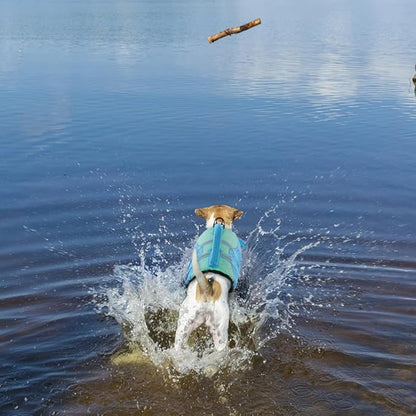 Queenmore Shark Dog Life Jacket