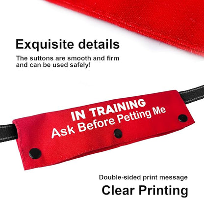 YROVWENQ Funny Dog Leash Red Wrap for Dog