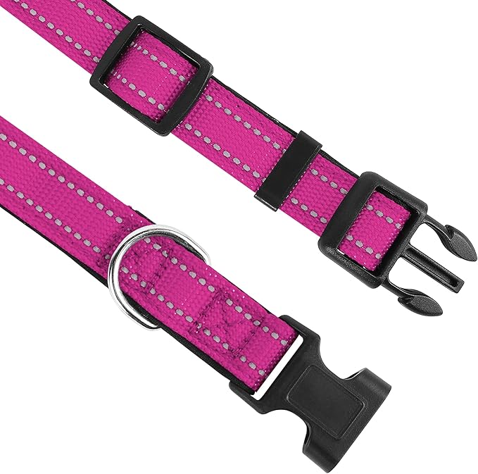 Reflective Dog Collar