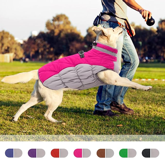 Dog Winter Jacket Cozy Reflective Waterproof Windproof Warm Pet Garment