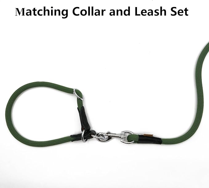 Dog Leash ((1/3") - 6FT, Dark