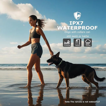 Dog Training Collar 2600FT Remote 3 Training