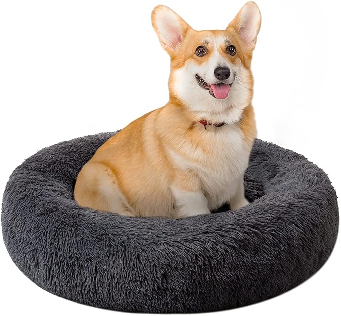 Geizire 24 inch Cat Bed Dog Bed for Cats
