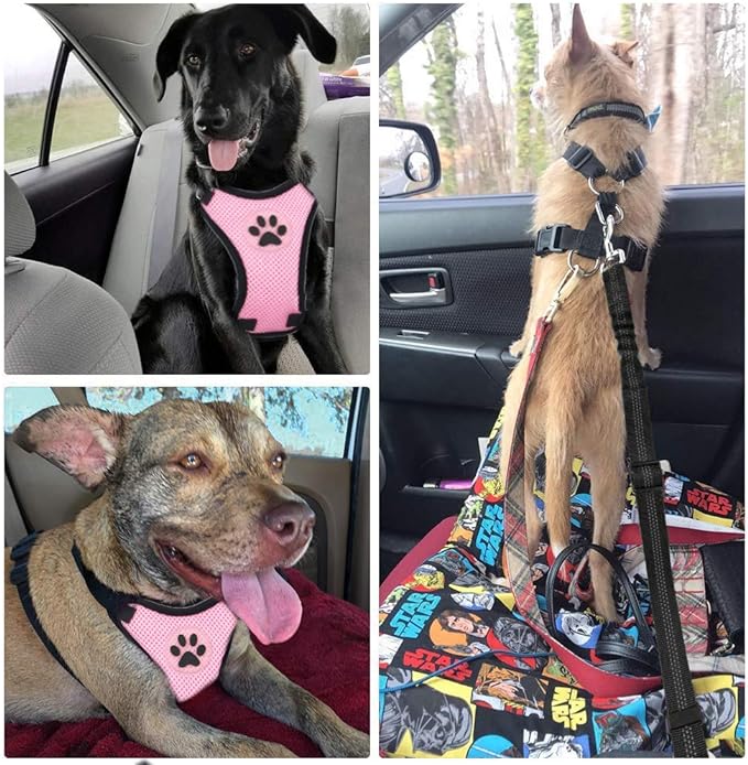 SlowTon Dog Seat Belt Harness for Car, Dog Car Harness Adjustable Mesh Breathable & Dog Seatbelt Safety Tether with Elastic Bungee for Small Medium Large Pets(Pink, Single Clip, XXS)