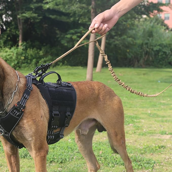 ICEFANG Tactical Dog Leash K9 Training 2 Control (6ft,Reflective Brown)