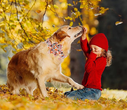DOGWONG Fall Dog Collar with Bowtie