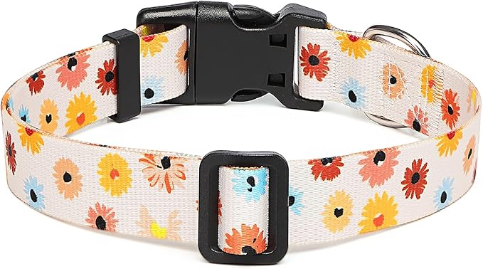 Adjustable Dog Collar with Patterns