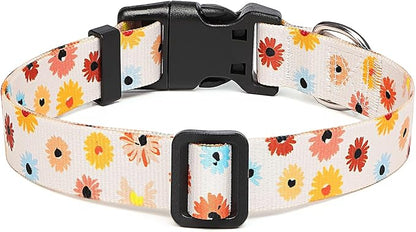 Adjustable Dog Collar with Patterns