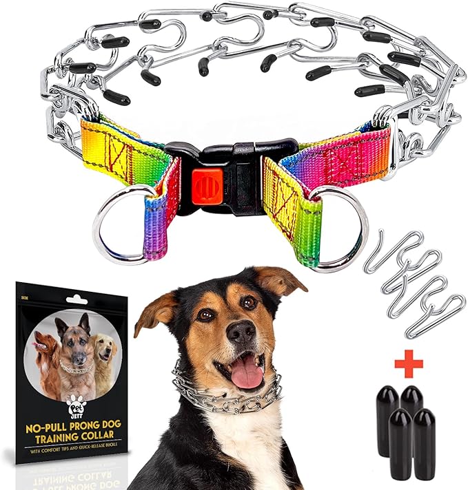 Prong Collar for Dogs