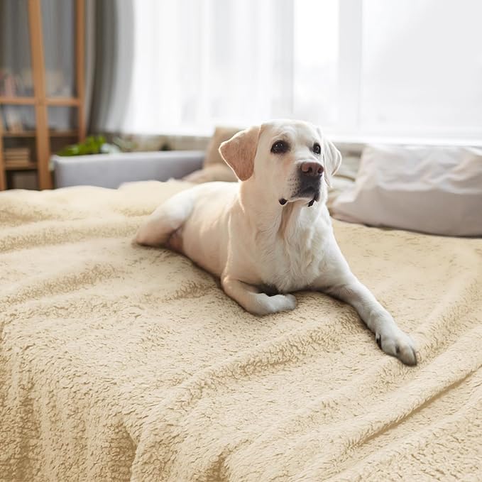 furrybaby Dog Blanket Soft Dog Blankets for Large Dogs Puppy Essentials Washable Sherpa Fleece Cat Blanket 59x78 Inches for Bed Furniture Couch Sofa (Jumbo