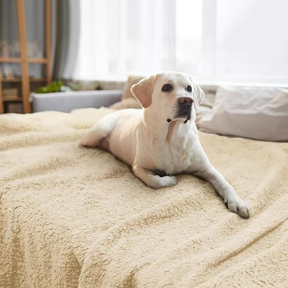 furrybaby Dog Blanket Soft Dog Blankets for Large Dogs Puppy Essentials Washable Sherpa Fleece Cat Blanket 59x78 Inches for Bed Furniture Couch Sofa (Jumbo