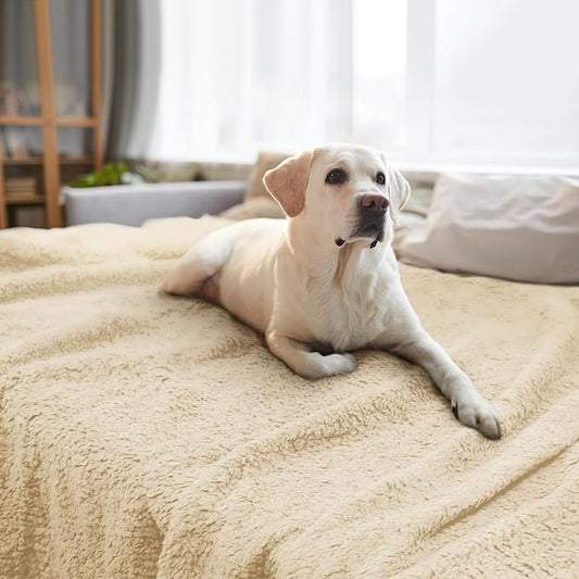 furrybaby Dog Blanket Soft Dog Blankets for Large Dogs Puppy Essentials Washable Sherpa Fleece Cat Blanket 59x78 Inches for Bed Furniture Couch Sofa (Jumbo