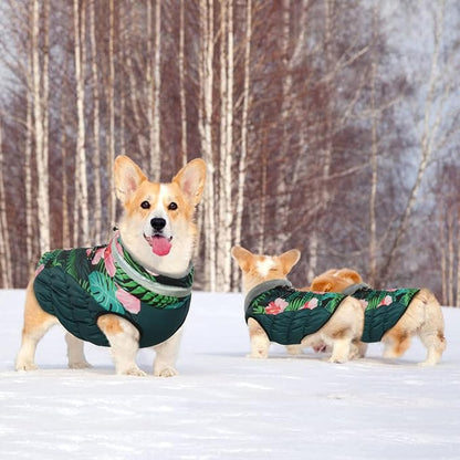 Dog Winter Coat