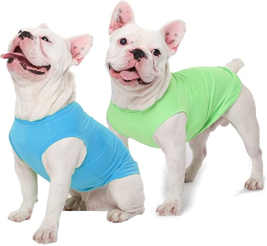 Dog Blank Summer Large Shirts