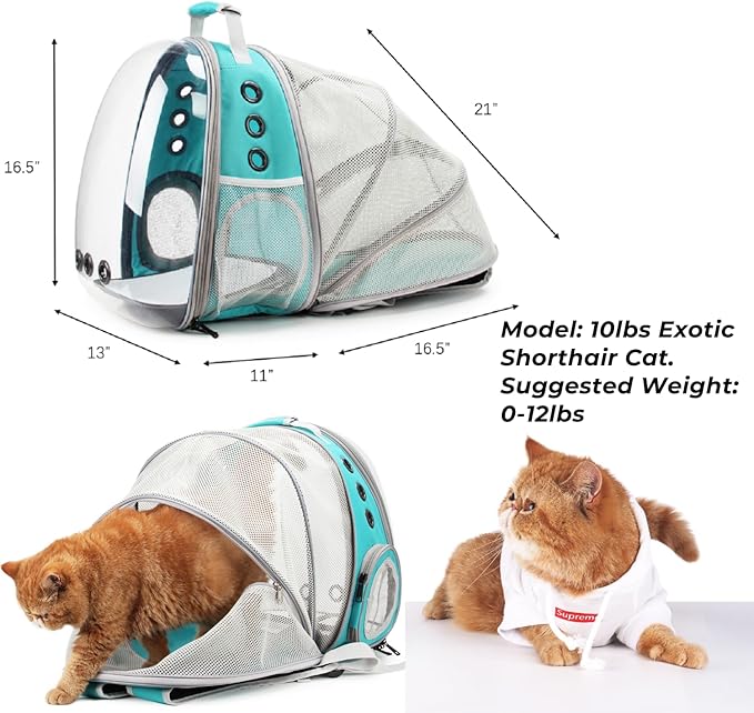 Lollimeow Cat Carrier Backpack, Bubble Expandable Backpack Carrier, Pets and Small Dogs,Airline-Approved, Designed for Travel, Hiking, Walking & Outdoor Use (Back Expandable-Green)