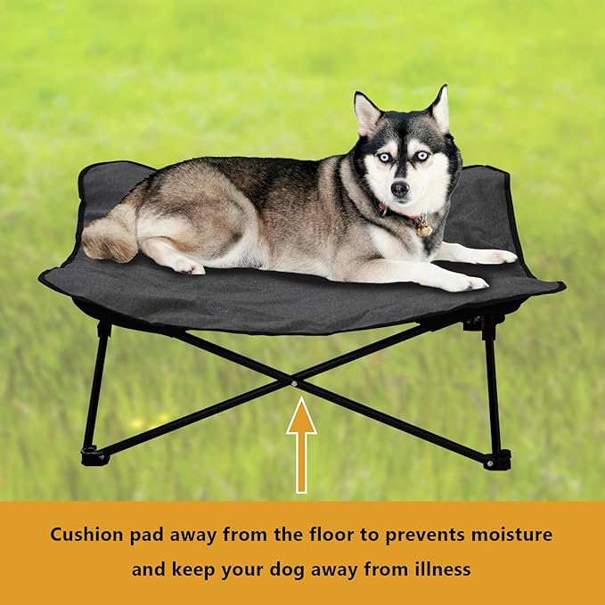 Elevated Dog Bed (36x36x12inch)