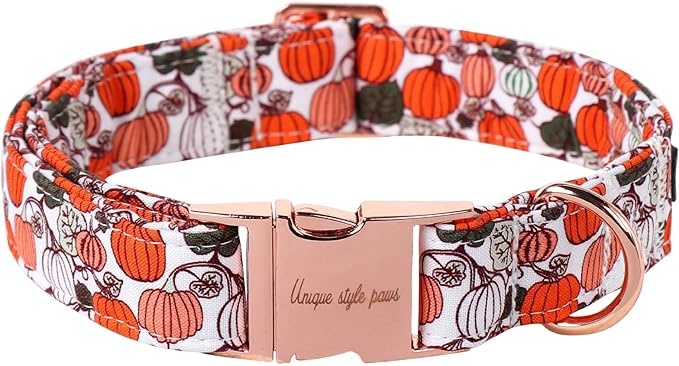 Unique style paws Dog Collar Metal Buckle Collar