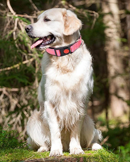 Reflective Dog Collar