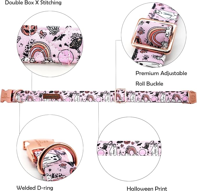 Lionheart glory Dog Collars Fall Halloween Pumpkin Collar