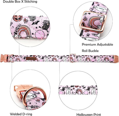 Lionheart glory Dog Collars Fall Halloween Pumpkin Collar