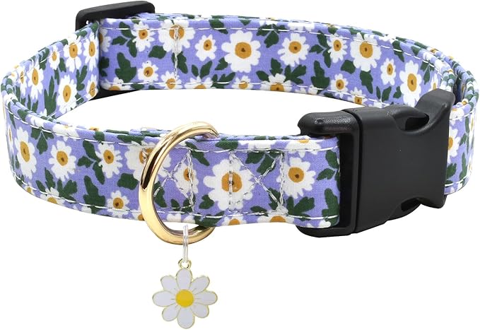 Flower Patterns Dog Collar with Accessories