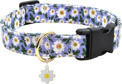 Flower Patterns Dog Collar with Accessories