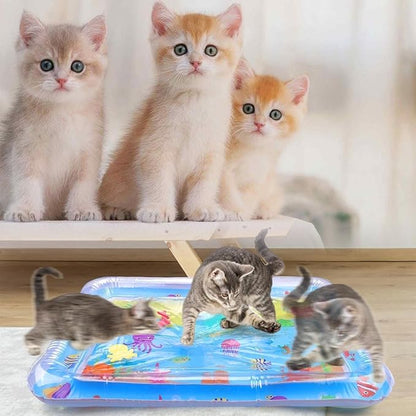 NAISI Water Sensory Playmat for Cats 2024 New
