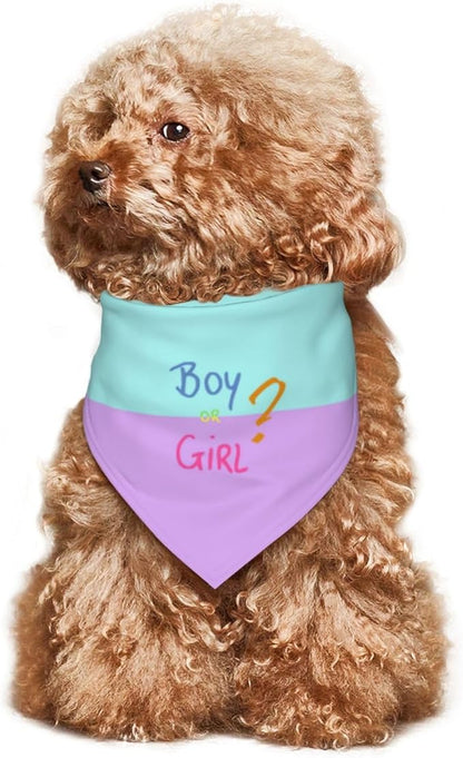 He Or She What Will It Be? Gender Reveal/Baby Announcement Dog Bandana,Pet Neckerchief for Pets Daily Wear Photo Prop Party Supplies (Pink/Blue-2)