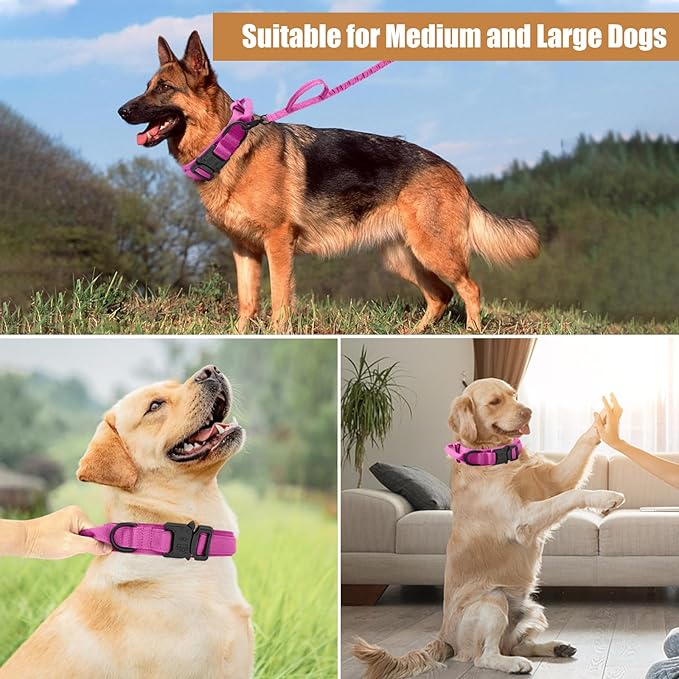 Tactical Dog Collar Leash Set