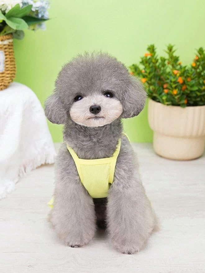 QWINEE Cat Dog Dress Cat Puppy Skirt Pet