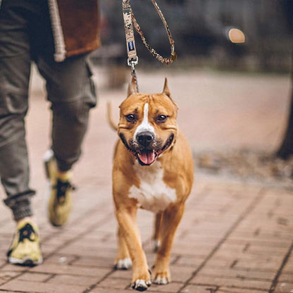 AUROTH Dog Leash Large Dogs 6FT, 2