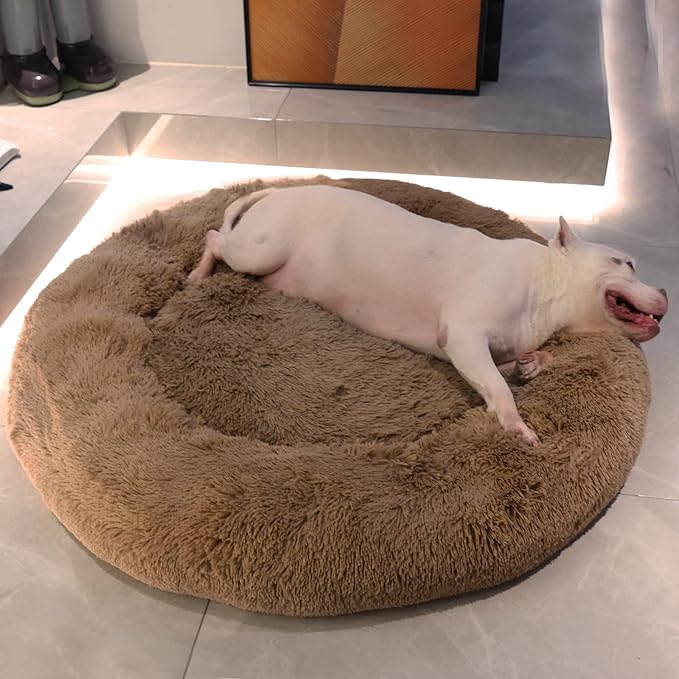 Jumbo Dog Beds for Extra Large Dogs 150 lbs