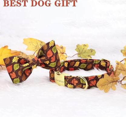 Unique style paws Fall Dog Collar with Bow