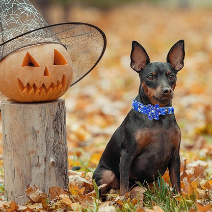Elegant little tail Halloween Dog Collar
