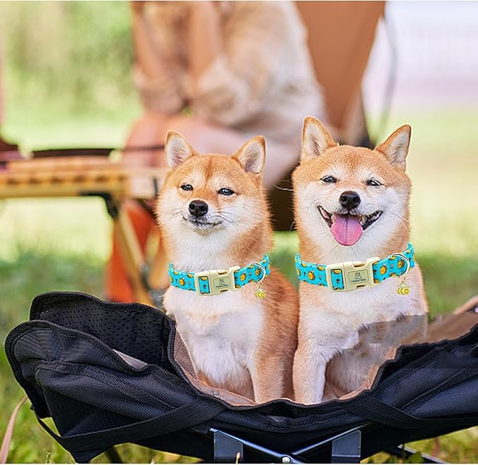 Lionheart glory Dog Collar