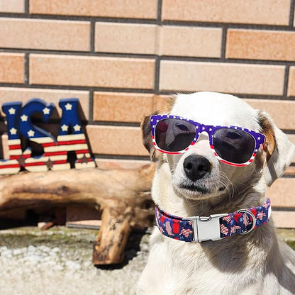 Independence Day Dog Collar