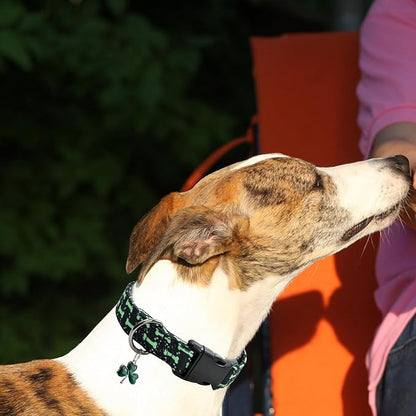 Bones Patterns Dog Collar with Accessories