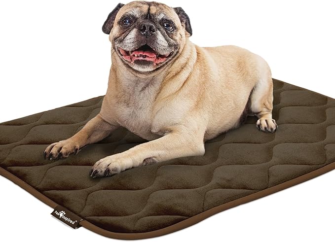 Paw Inspired Washable Padded Crate Mats for Dogs 29” x 18” Pad, 30-inch Kennels