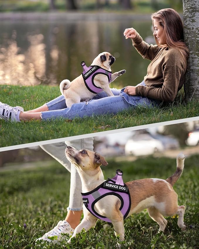 FAYOGOO Service Dog Vest for Medium Breed - Lightweight Dog Harness with 6PCS Removable Patches - Puppy Harness and Leash Set for Walking,Training