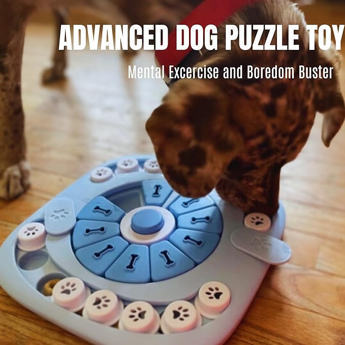 Dog Puzzle Toys Level 2, Dog Puzzles for Smart Dogs, Interactive Dog Treat Puzzles for Large Medium Small Dogs with Suqeaky Dog Button Design