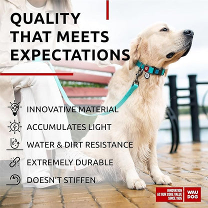 WAUDOG Waterproof Dog Collar