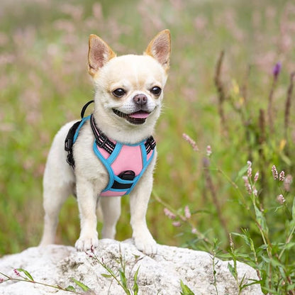 rabbitgoo Dog Harness, No-Pull Pet Harness with 2 Leash Clips, Adjustable Soft Padded Dog Vest, Reflective No-Choke Pet Oxford Vest with Easy Control Handle for Large Dogs, Pink & Blue, X-Small