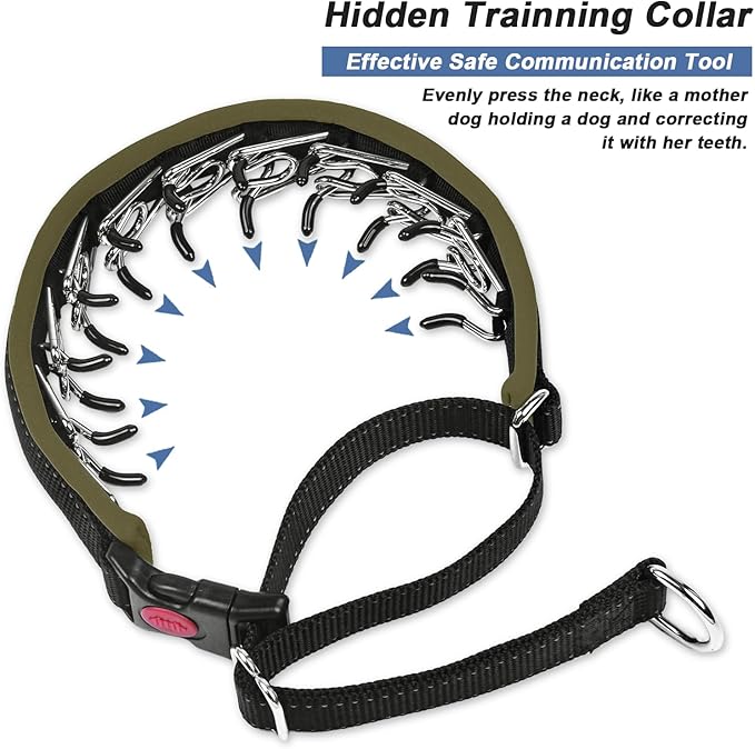 Martingale Collar for Dogs