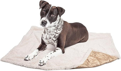 Puppy Blanket, Super Soft Sherpa Dog Blankets and Throws Cat Fleece Sleeping Mat for Pet Small Animals 45x30 Latte