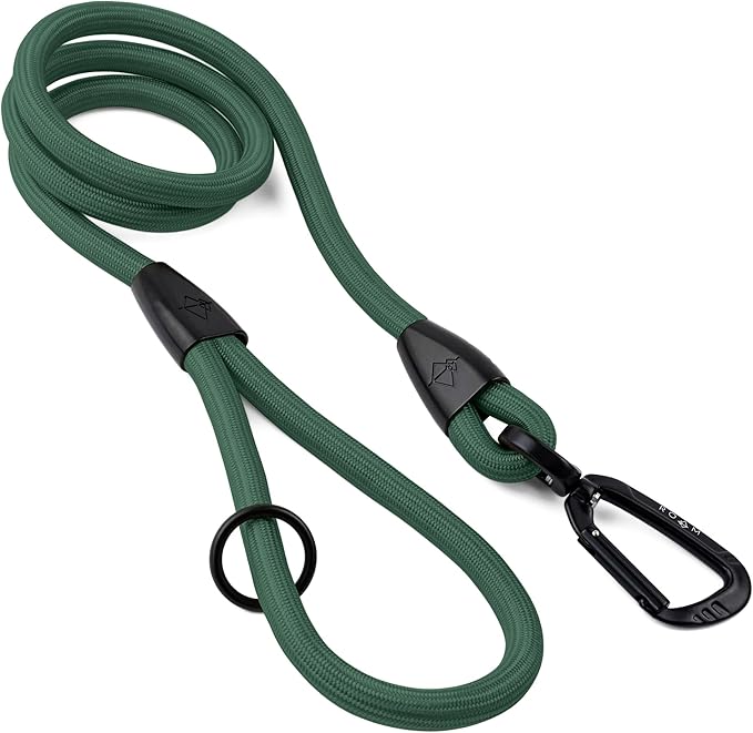 MADE TO ROAM Premium Everyday Leash 6ft (Metal