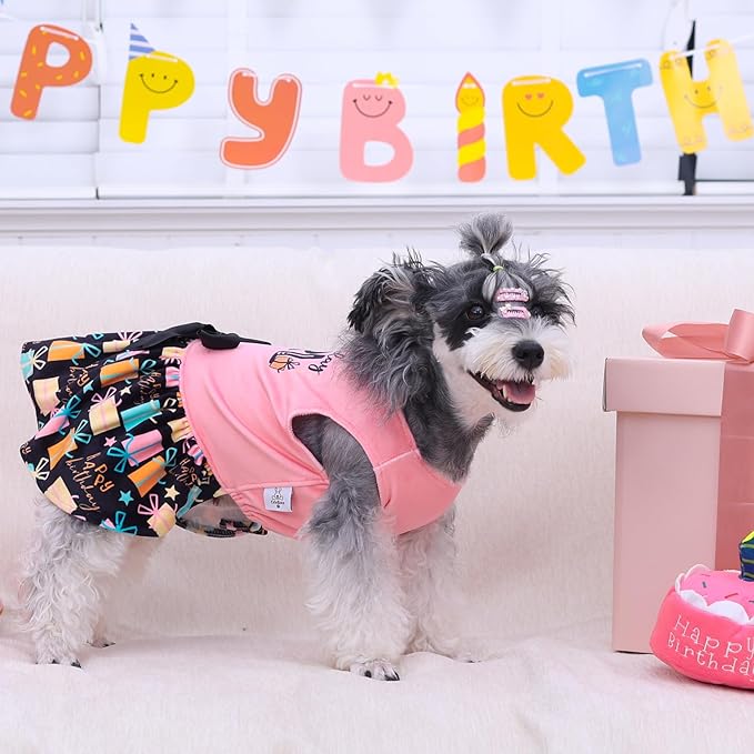 CuteBone Birthday Dog Dresses Velvet Holiday Small Dogs Clothes Onesie Pet Apparel Girl Puppy Skirt with Bow Hair Rope CVA48XXS-D