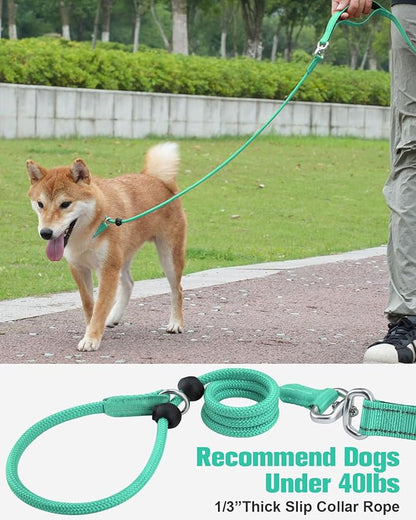 Aiyuda Tangle-Free Slip Lead for Dogs with Padded Traffic Handle 6ft Dog 40 LBS,Turquoise