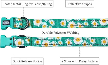 Floral Pattern Dog Collar
