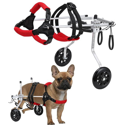 Cat Wheelchair for Back Legs